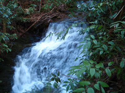 Cascades On Sill Branch
3-11-2011
