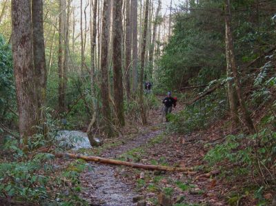 Longarm Branch Trail
'Fireball' hiking up the creek trail...
3-12-11

