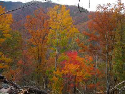 View From Big Pine Ridge
Fall colors on  Big Pine Ridge Knob.
Sampson Mountain in background.
October, 2011
