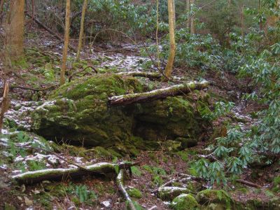 Log On Boulder
Near Longarm Branch Falls,
3-12-11
