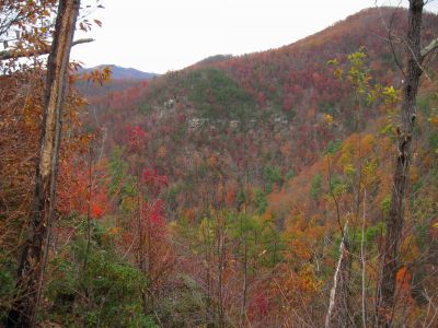 View Descending Big Pine Ridge Knob
The Bony Knuckle Knob above Sill Branch,
October, 2011
