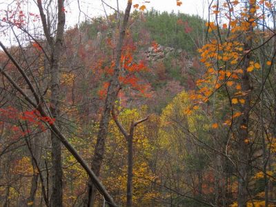 Sill Branch Overlook
View while descending Big Pine Ridge Knob,
October, 2011
