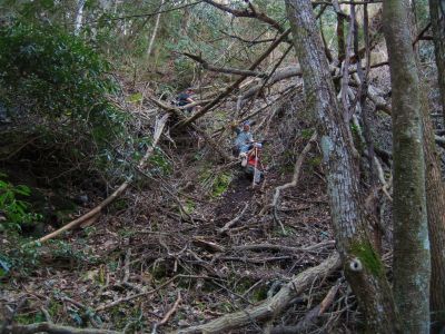 Devils Fork Expedition
'The Waterfall Tour' (April, 2011) expeditioners slide down hillside to Josiah Falls,
