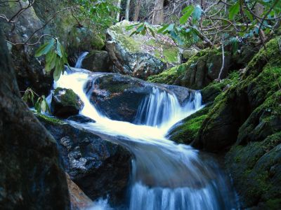 Cascades In Devils Fork
Cascades below Josiah Falls,
4-3-2011
