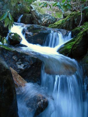 Cascades In Devils Fork
Cascades below Josiah Falls,
4-3-2011
