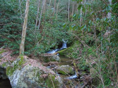 Cascades In Devils Fork
Cascades below Josiah Falls,
4-3-2011
