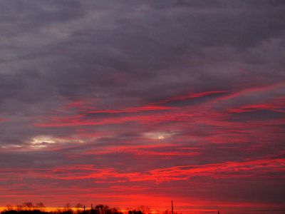 Sunset
Photo by Rat
