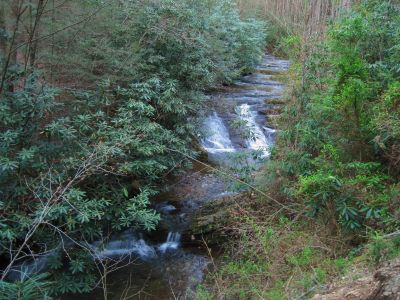 Lower Longarm Branch Falls
Lower Longarm Branch Falls,
4-3-2011
