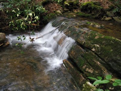 Cascades On Little Jennings Creek
4-16-2011
