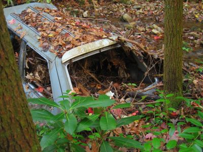 Wrecked Car
in the creek near Mine Flats,
No business Knob Trail,
11-6-2011
