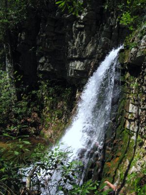 Gentry Creek Falls
side view of the upper set of falls,
4-30-2011
