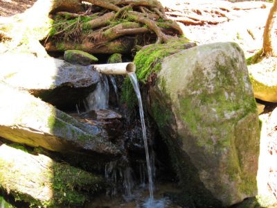 water source for the Flint Mountain Shelter
April, 2010
