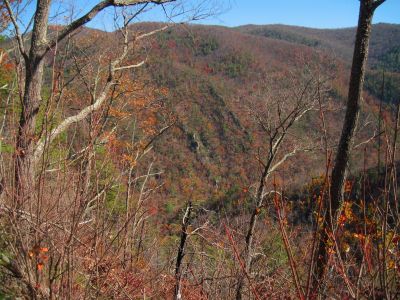 View From No Business Knob
View of rock cliffs in the Nolichucky Gorge,
11-6-2011
