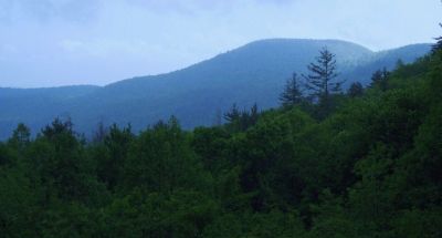 Mountain View
Northern Georgia,
May, 2011
