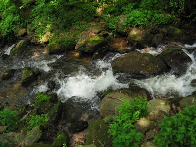 Cascades
...below Amicalola Falls,
Amicalola State Park, Georgia,
May, 2011
