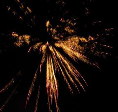 Fireworks
Post-Wedding Festivities...
5-21-2011
