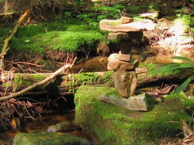 Rock Cairn
Jones Branch,
June, 2011
