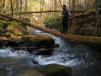 Log Walking
Dan-o crossing the Laurel Creek on a log.
Little Stony Creek Wilderness,
1-28-2017
