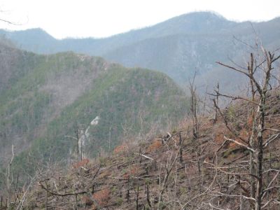 Views from Big Pine Ridge
The 'Volcano' ridge leading up to the right, Longarm Ridge to the left, and Sampson Mountain behind them all.
January 2010

