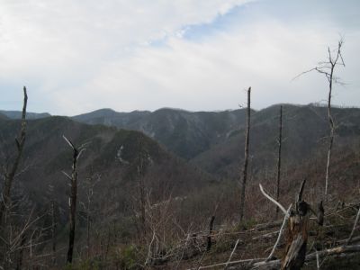 Views from Big Pine Ridge
Longarm Ridge and Samson Mountain...
January 2010
