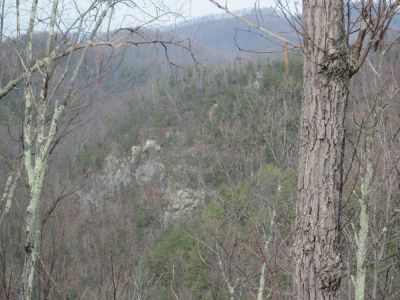 Views from Big Pine Ridge
Another angle of the Sill Branch Overlook.
January 2010
