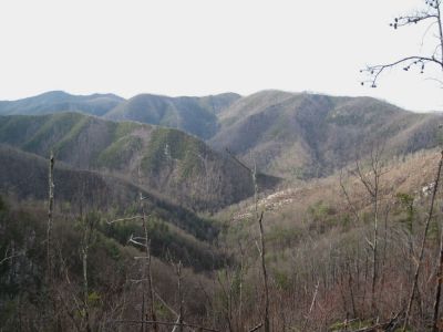 Views from Big Pine Ridge
Sampson Mountain in the distance, Longarm Ridge in the middle/left, part of Big Pine Ridge Knob rising up on the right, and Devil's Fork below/left...
January 2010
