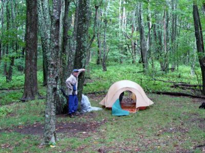 (2nd) Camp on Walnut Mountain
Photo by Rat...
September, 2010

