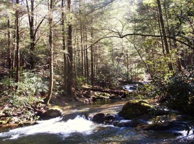 Swimming Hole
...in Clarks Creek,
11-09
