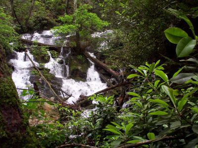 Jones Branch Waterfalls
after heavy rains,
June, 2009

