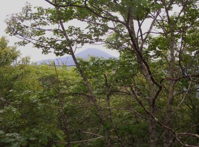 Little Bald Mountain
As seen from High Rocks
July 2009

