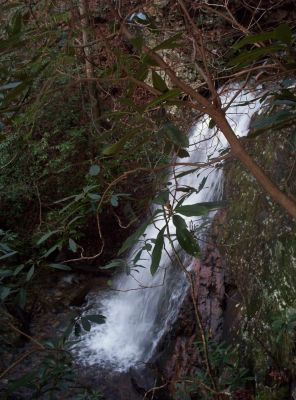 Lilybeth Falls
aka Upper Devil's Fork Falls...
top-side view (from the ledge)
11-09
