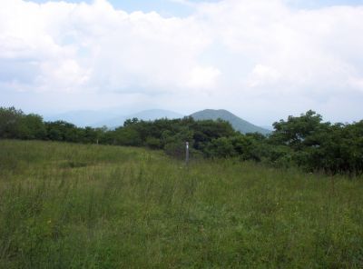 Little Bald Mountain
In the foreground, taken from the Big Stamp Meadows,
Flattop, No Business Knob, and Unaka Mountains in the more distant haze
July 2009
