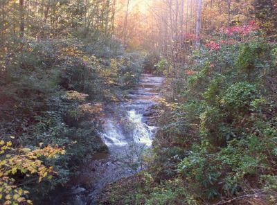 Longarm Branch
Lower Falls,
October 2009
