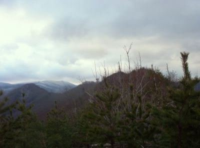 Longarm Ridge
The 'Knife's Edge' leading to the top of Rich Mountain,
1-1-2010

