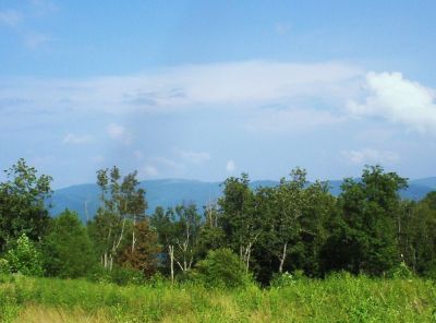 View of Max Patch
From Snowbird Mountain,
August 2009
