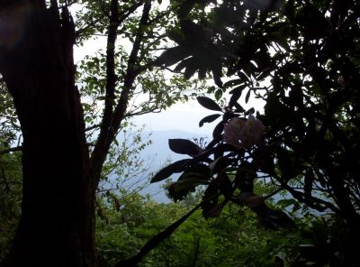 Little Bald Mountain
The Bluff at  near the Summit
July 2009
