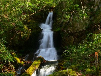 Coyote Falls
3-2-2017
