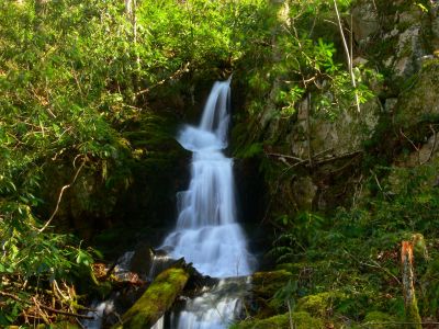 Coyote Falls
3-2-2017
