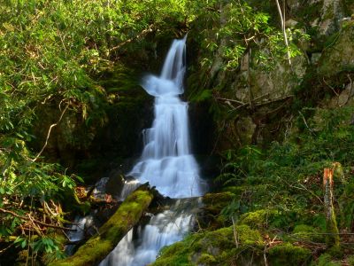 Coyote Falls
Unaka Mountain, TN
3-2-2017
