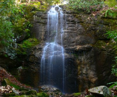 Upper Falls on Pete's Branch
3-8-2017
