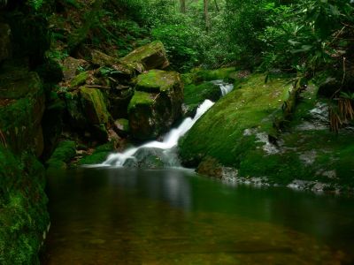 Cascade and Pool
Cherokee National Forest
6-17-2018
