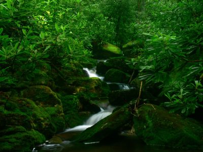 Cascades
Cherokee National Forest
6-24-2018
