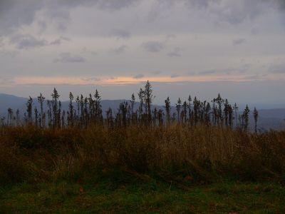 Beauty Spot
View...
10-31-2013
