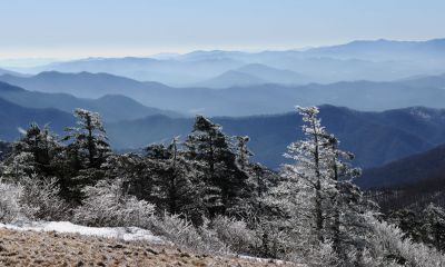 View from the Balds
Roan Mountain
January 18, 2010
Photo by Charlie Warden
