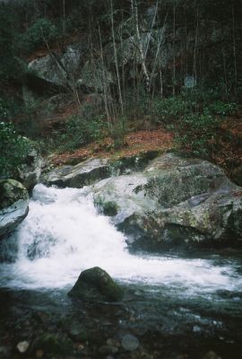 Rocky Fork
Waterfall and Cliffs in Rocky Fork
