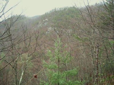 Sill Branch Overlook
aka, 'The Monkey-Head Rocks',
as seen from the 'middle' ridge (no zoom),
3-11-10
