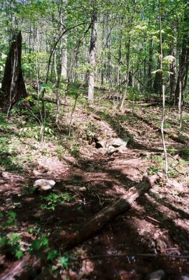 The Spring at Whistling Gap
May, 2009

