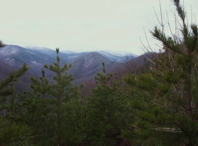 The Longarm Ridge 
...and the Longarm Valley, Rich Mountain covered in snow,
1-1-2010
