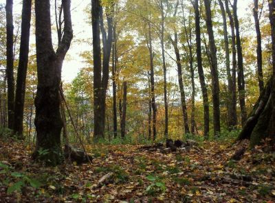 Campsite near Sam's Gap
10-09
