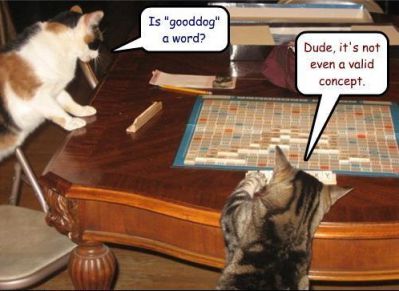 Cat Scrabble
